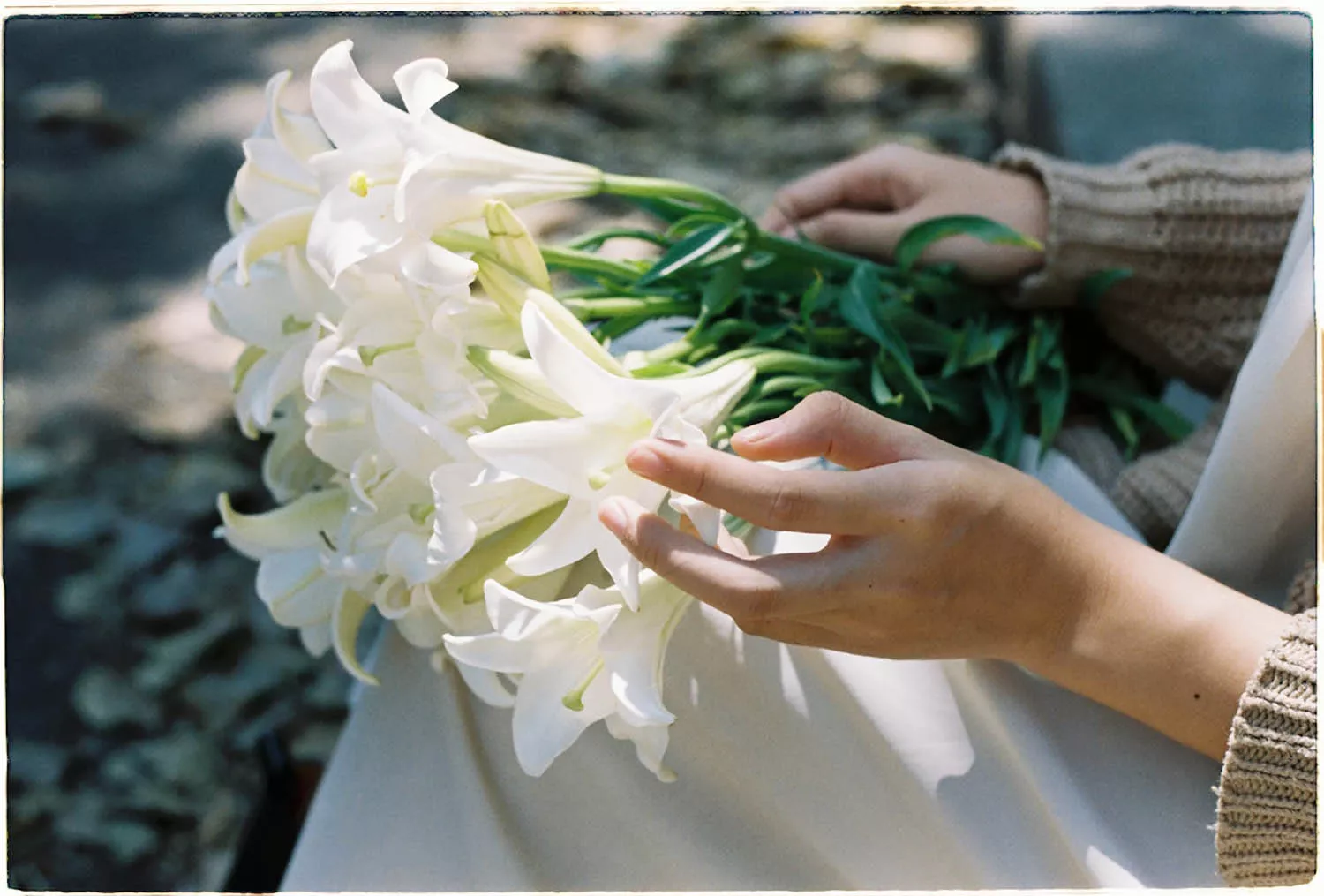 香水百合因為花朵大，給人豪華的感覺，適合搭配身著長擺的婚紗。
